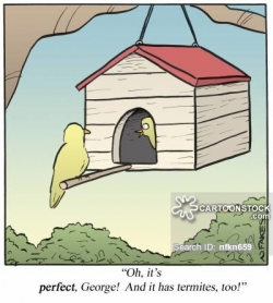 Birdhouse Cartoons and Comics - funny pictures from CartoonStock