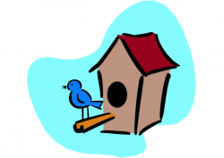 Nesting boxes for birds – Laidback Gardener