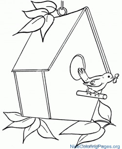 Bird House Drawing at GetDrawings.com | Free for personal use Bird ...