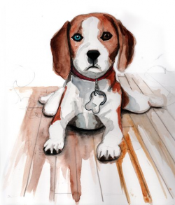 Drawing of a beagle | cute! | Pinterest | Beagle, Dog and Animal