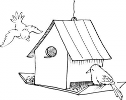 How to Make Bird Feeders | Bird houses, Bird feeder and Bird