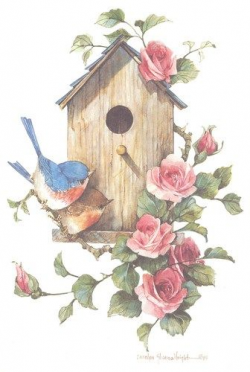 Birdhouse with Bluebirds 10 x 7 lithograph | CShoresInc - Print on ...