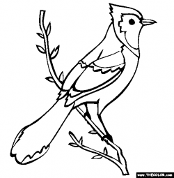 bird to color | Blue Jay Coloring Page | Free Blue Jay Online ...
