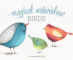 Watercolor birds: PNG clipart / 3 whimsical clip art birds ...