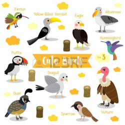 Bird clipart name - Pencil and in color bird clipart name