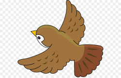 Bird House Sparrow Common nightingale Clip art - sparrow png ...