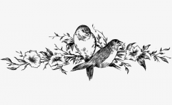 Sketch Branches Birds, Branches, Birds, Leaf PNG Image and Clipart ...