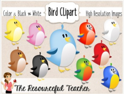 Cute Birds Clipart Bundle by The Resourceful Teacher | TpT