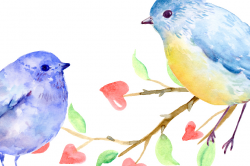 Watercolor Clipart Valentine Birds by Cornercroft | TheHungryJPEG.com