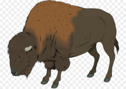 American bison Deer Clip art - Bison PNG Transparent Image png ...