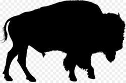American Bison Wildlife png download - 2316*1524 - Free ...