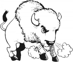 Angry Bison Breath Coloring Page | Color Luna