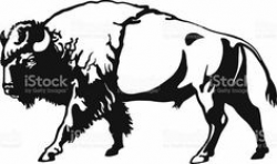 Buffalo bison head animal clip art for custom ts | Buffalo Art ...