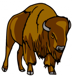 Free Cartoon Bison Cliparts, Download Free Clip Art, Free ...
