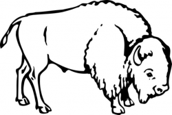 Bison [M310902] - $4.00 : Custom Vinyl Stickers Decals, for Cars