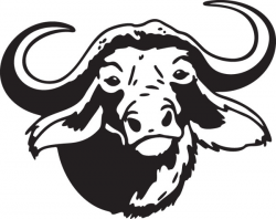 Bison clipart buffalo head - Pencil and in color bison clipart ...