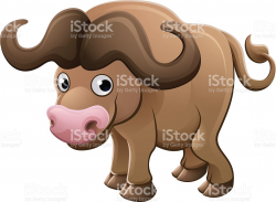 Bison clipart indian buffalo - Pencil and in color bison clipart ...
