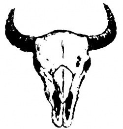 Buffalo clipart Buffalo Skull ClipArt - Pencil and in color buffalo ...