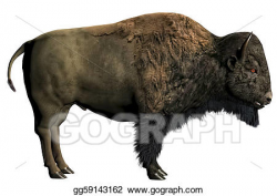 Drawings - American bison / buffalo. Stock Illustration gg59143162 ...