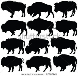 Buffalo Outline Drawing at GetDrawings.com | Free for personal use ...