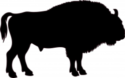 Buffalo Silhouette Images at GetDrawings.com | Free for personal use ...