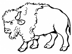 Free Printable Bison Coloring Pages For Kids | Easy art, Rustic ...