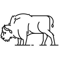 European Bison coloring page | Free Printable Coloring Pages