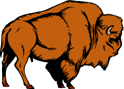 Water Buffalo clipart bison - Pencil and in color water buffalo ...