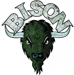 Posse:Bison | Red Dead Wiki | FANDOM powered by Wikia
