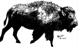 Bison Drawing by Lloyd Bast