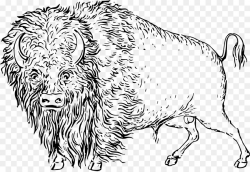 Cattle Line art Drawing Clip art - bison png download - 2499*1713 ...