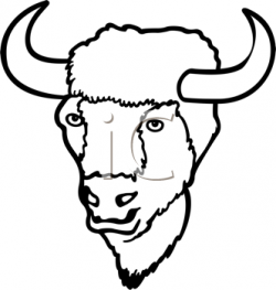 Royalty Free Bison Clip art, Buffalo Clipart