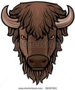 Buffalo bison head animal clip art for custom ts | Buffalo Art ...