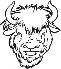 28+ Collection of Bison Face Drawing | High quality, free cliparts ...