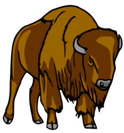 28+ Collection of Bison Cartoon Drawing | High quality, free ...