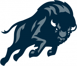 Howard Bison Partial Logo - NCAA Division I (d-h) (NCAA d-h) - Chris ...