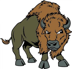 Buffalo mascot clipart kid - Clipartix