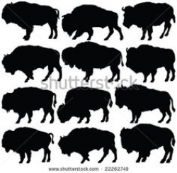 Set of American Bison Silhouettes- Vector Image | watercolor ...
