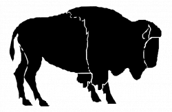 okc Buffalo | Native American Symbols | Tshirt makers | Pinterest ...