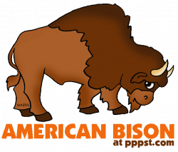 28+ Collection of Bison Drawing For Kids | High quality, free ...