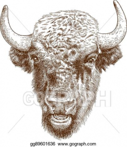 Vector Art - Engraving antique illustration of bison head. Clipart ...