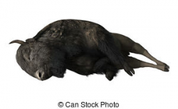 Dead clipart bison - Pencil and in color dead clipart bison