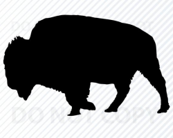 Bison SVG Files For Cricut - Bison Silhouette Clip Art - Eps, Buffalo Bison  Png, dxf ClipArt Wild Buffalo cnc file Buffalo vector image