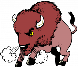 Water buffalo American bison Clip art - Cartoon Bison ...