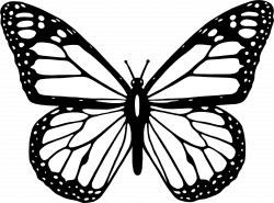 Clipart - Black And White Butterfly