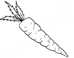 Carrot Clipart Black And White - Letters