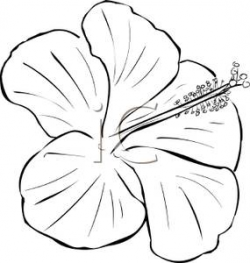 Black and White Hibiscus Flower - Clipart