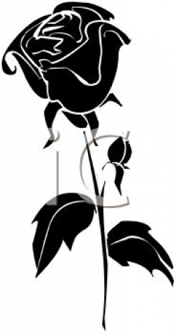 Black and White Rose Graphic | Clipart Of A Black And White Rose ...