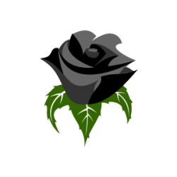Flower Clipart - Black Rose with White Background | Download Free ...