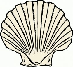 Free Black and White Seashell Clipart, 1 page of Public Domain Clip Art